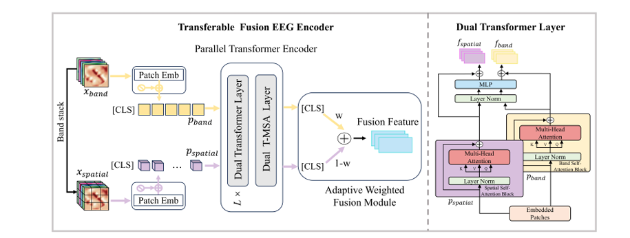 图2:The overview of transferable fusion EEG encoder and dual Transformer layer. 图2:The overview of transferable fusion EEG encoder and dual Transformer layer.